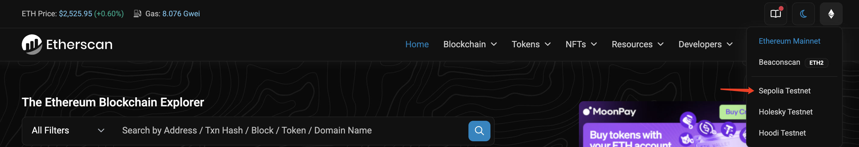 Etherscan 网络选择